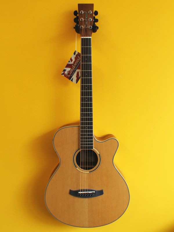 Tanglewood DBTSFCEBW Discovery Exotic